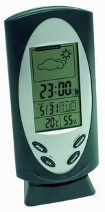 Corporate Weather Station - G313 Image
