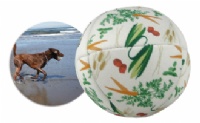 Pet Ball