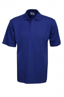 Premium Pre-shrunk Cotton Polo, short sleeve - P02 Image